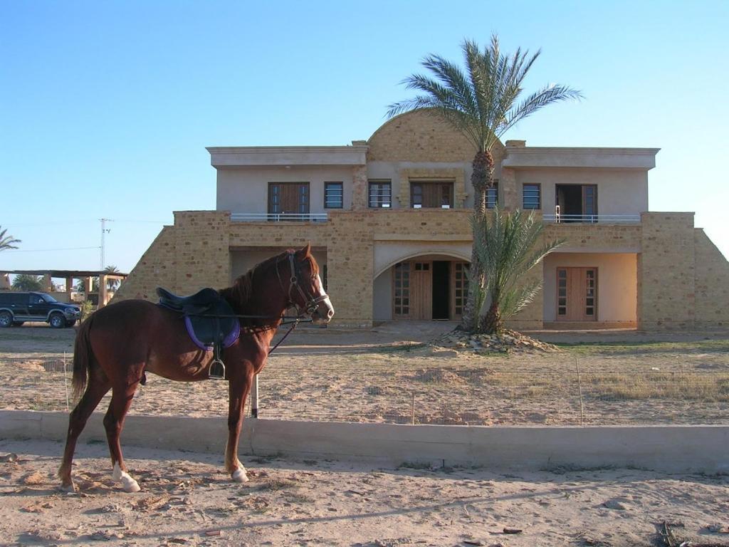 Bella Djerba Hotel Houmt Souk  Luaran gambar